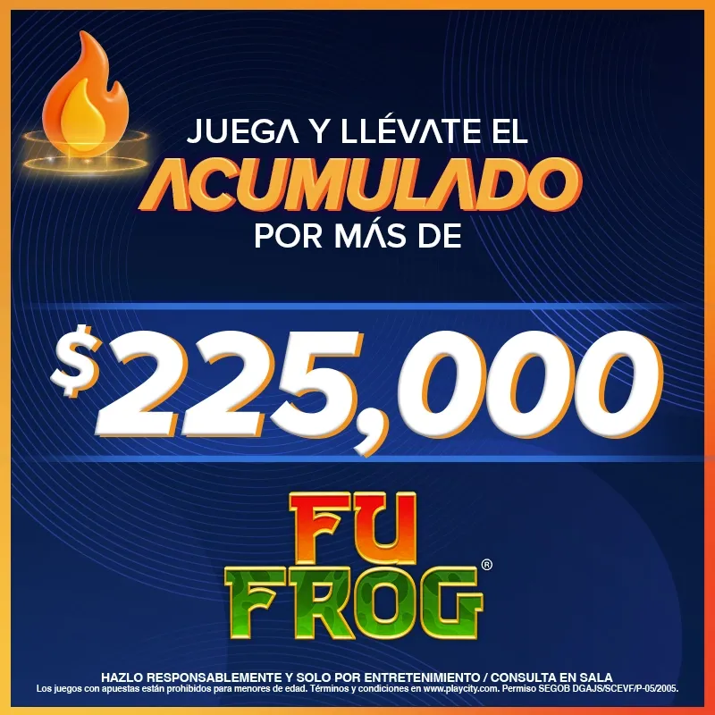 Metepec 8